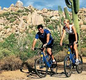Enjoy a bike tour of the Sonoran desert following the behavioral sciences research conference