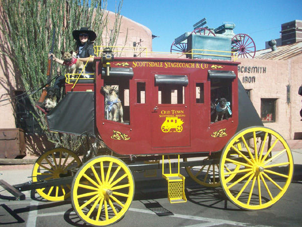 Take a stage coach ride after the academic research conference